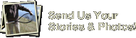 Send Us Your Stories Send Us Your Stories